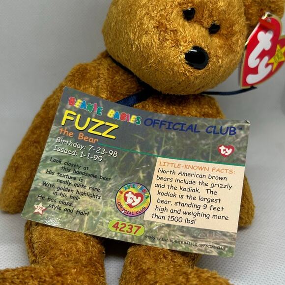 TY BEANIE BABIES FUZZ the BEAR DOB: 7/23/1998 Plush Stuffed Animal - Picture 8 of 8